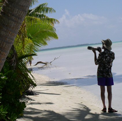 Photograph by Ellen Wilkin, Fanning Island, 7/2003